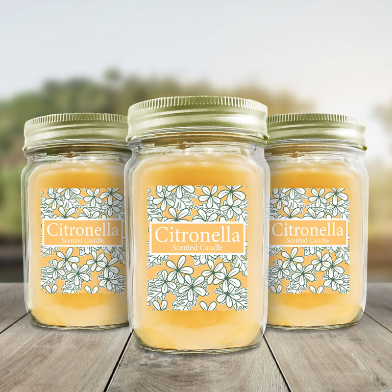 August Grove® Citronella Scented Jar Candle with Glass Holder & Reviews